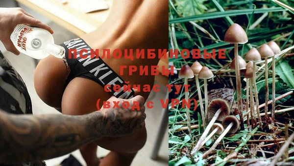 метадон Аркадак