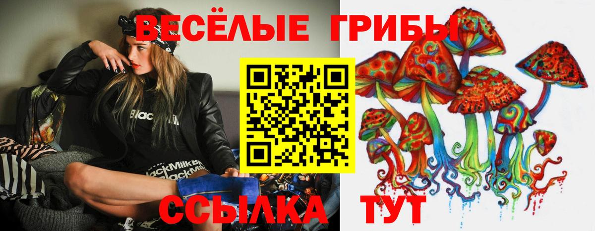 Псилоцибиновые грибы мицелий Сосновый Бор